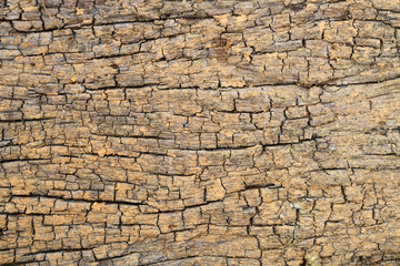 close up uf weathered crack wooden background.