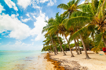 Bois Jolan beach in Guadeloupe