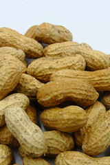 peanuts on a white background
