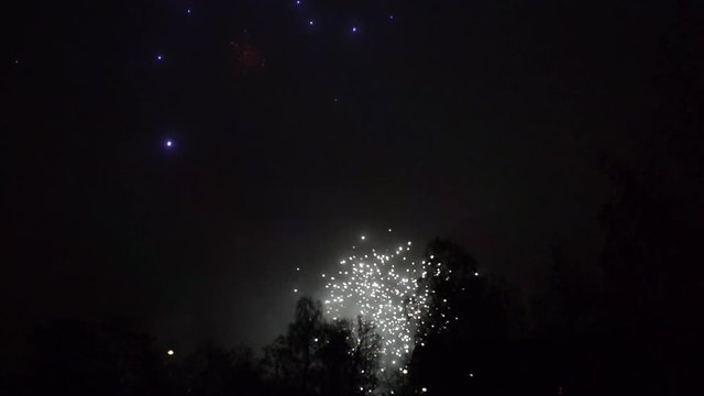 Fireworks, cracking, against, black, sky, in the, night, with, some, trees, in the, foreground, shadows, sound, bomb, explosion, pyro, pyrotechnics, nice, style, beautiful, 