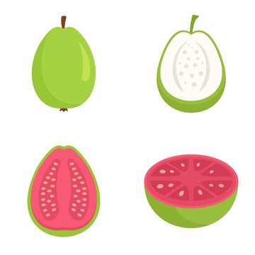 Guava icons set. Flat set of guava vector icons for web design