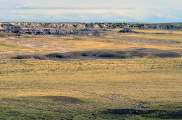Petrified Forest Arizona