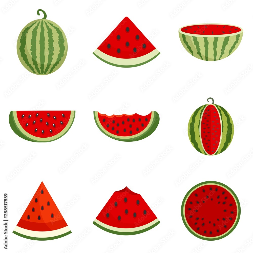 Poster watermelon icons set. flat set of watermelon vector icons for web design