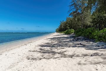 Fototapeta na wymiar Amazing beach in the southwest of Mauritius island, Africa
