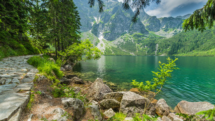 mountain lake in the forest