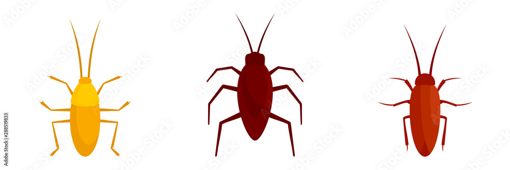 Poster cockroach icons set. flat set of cockroach vector icons for web design