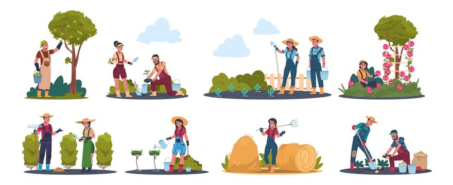 Agricultural work. Cartoon farmer characters working in field, harvesting crops and fruits. Vector image rustic family work scenes with flat set people and agriculture plants