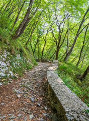 Idyllic path near Madonna della Corona Sanctuary, in the Province of Verona, Veneto, Italy.