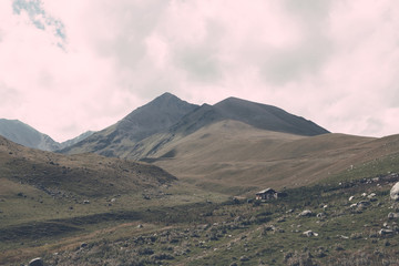 Closeup view mountains scenes in national park Dombay, Caucasus