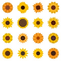 Sunflower icons set. Flat set of sunflower vector icons for web design