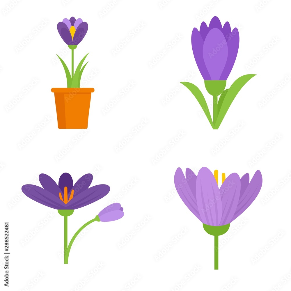 Poster crocus icons set. flat set of crocus vector icons for web design