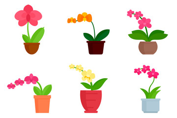 Orchid icons set. Flat set of orchid vector icons for web design