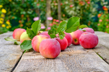 Fresh red apples with green leaves on a wooden old table.