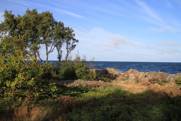 Fototapeta na wymiar Küstenweg bei Allinge Bornholm