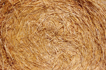 Abstract nature background. Straw texture, close up. stack of hay, close up.