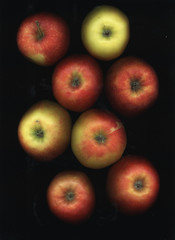 apple family
