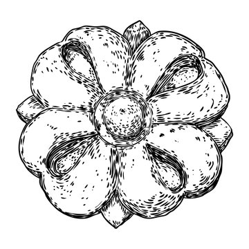 Baroque ancient vintage style floral circular design element. Marble rosette drawing for fashionable pattern in black white for textile, scarves, backgrounds. Vector.
