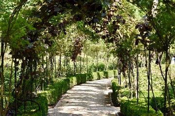 path in the garden
