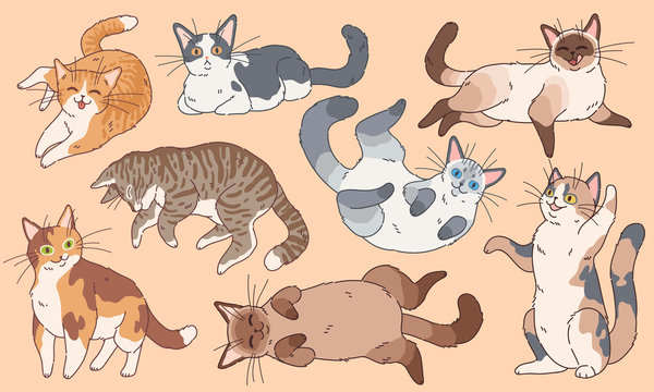 Cute cats. Funny different breeds kittens , pets sleeping and playing cartoon vector characters set