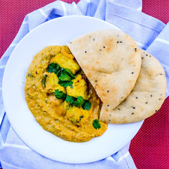 Traditional Indian Chicken Korma Curry Meal