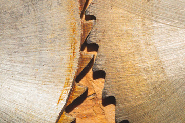 Circular saw. carpentry tools. industrial background. equipment for sawmill and sawing wooden products