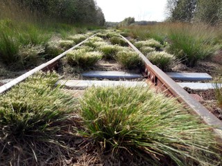Railroad track in peat bog Himmelmoor Quickborn