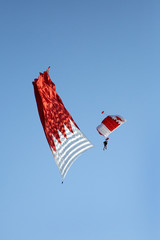 Parachute display team performs  during cricket festival at Isa Town, Bahrain