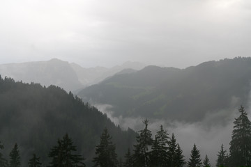 green and gray mountain landscape with forest and thick fog in the valleys