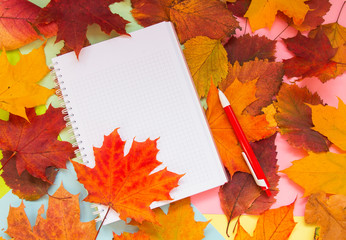 notebook on the autumn table