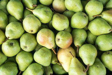 horizontal close up of a crate of organic golden and green pears