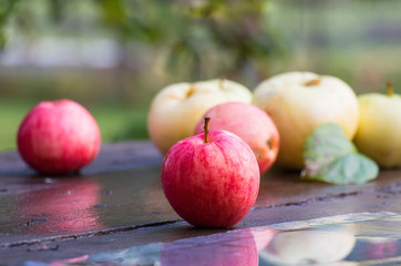 apples on a wooden table after a rain