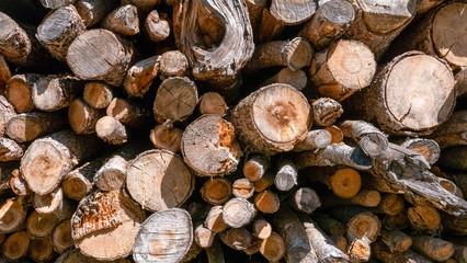 Pila de madera con palos delgados y gruesos en desorden