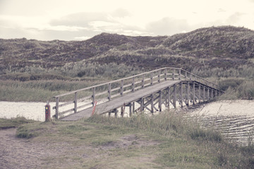 The bridge at the Paradise Trail