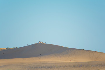 médanos de arena de playa de Valizas, Rocha, Uruguay
