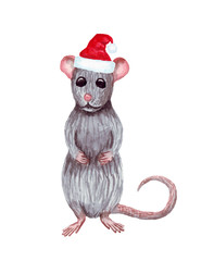Little cute rat, symbol of 2020 new year. watercolor hand drawn illustration isolated on white
