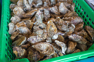 huîtres