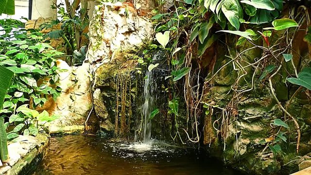 Waterfall in garden HD Video Footage for your Project