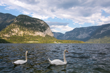Amazing view of Hallstatt village in Alps at dusk, Austria