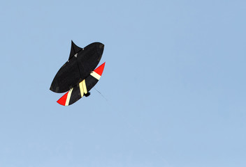Colorful Kite flying high up in the sky