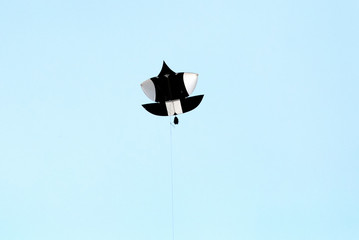 Fototapeta na wymiar Colorful Kite flying high up in the sky
