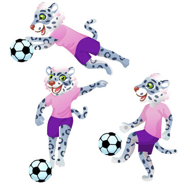 Three snow leopard girls as the footballers in uniform in dynamic poses with the soccer ball