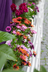 Different flowers of different colors on the parapet of a street cafe