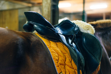 Extreme close up of a saddle and lariat on a brown horse