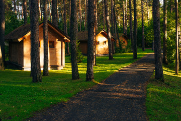 houses in the coniferous forest at sunset