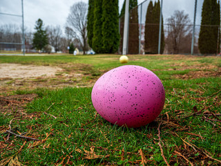 Easter Egg Hunting without children