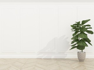 classic white brick wall with wood floor and  Fiddle Fig,3d render