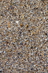 original abstract, textural background in the form of sea sand, shells, pebbles