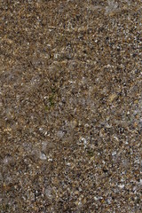 original abstract, textural background in the form of sea sand, shells, pebbles