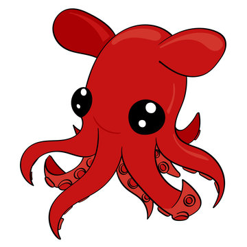 Red Dumbo Octopus