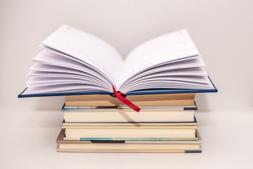 libro y lapiz azul